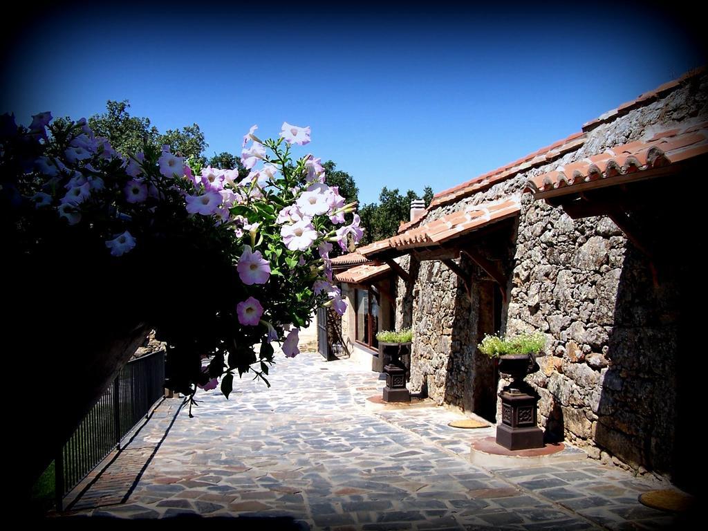 Eljas Almazara De San Pedro (Adults Only) 게스트하우스 외부 사진
