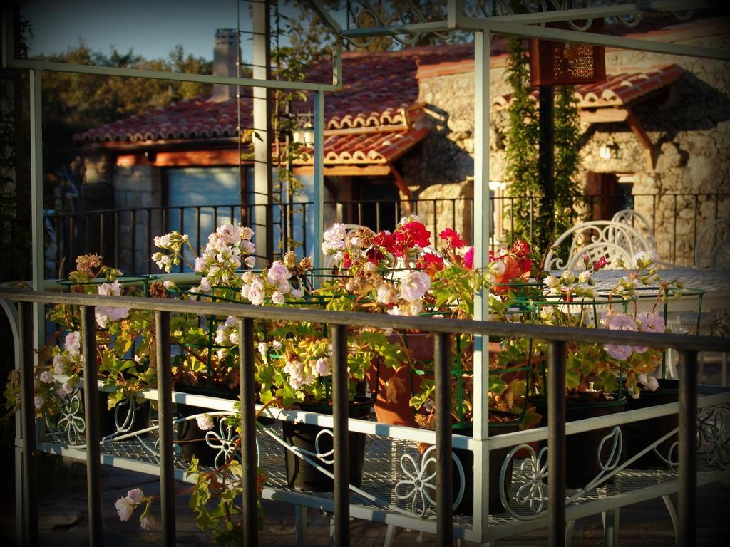 Eljas Almazara De San Pedro (Adults Only) 게스트하우스 외부 사진