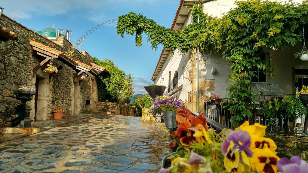 Eljas Almazara De San Pedro (Adults Only) 게스트하우스 외부 사진