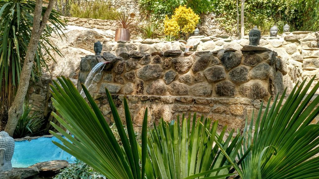 Eljas Almazara De San Pedro (Adults Only) 게스트하우스 외부 사진